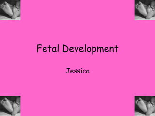 Fetal Development Jessica 