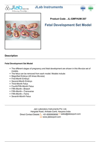 JLab Instruments
Product Code . JL-GMFHUM-307
Fetal Development Set Model
Description
Fetal Development Set Model
The different stages of pregnancy and fetal development are shown in this life-size set of
models.
The fetus can be removed from each model. Models include:
Magnified Embryo (25 times life-size)
First-Month Embryo
Second-Month Embryo
Third-Month Fetus
Fourth/Fifth-Month Fetus
Fifth-Month—Breech
Fifth-Month—Transverse
Fifth-Month—Twins
Seventh-Month Fetus
Jain Laboratory Instruments Pvt. Ltd,
Hargolal Road, Ambala Cantt, Haryana India
Direct Contact Details +91-8569909696 sales@jlabexport.com
www.jlabexport.com
Powered by TCPDF (www.tcpdf.org)
 
