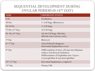 FETAL DEVLOPMENT.pptx pppppppppppppppppp | PPTX