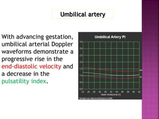 With advancing gestation,
umbilical arterial Doppler
waveforms demonstrate a
progressive rise in the
end-diastolic velocity and
a decrease in the
pulsatility index.
Umbilical artery
 