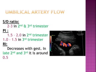 S/D ratio:
2-3 in 2nd & 3rd trimester
PI :
1.5 – 2.0 in 2nd trimester
1.0 – 1.5 in 3rd trimester
RI:
Decreases with gest. In
late 2nd and 3rd it is around
0.5
 