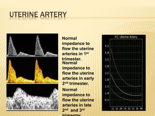 UTERINE ARTERY
Normal
impedance to
flow the uterine
arteries in 1st
trimester.
Normal
impedance to
flow the uterine
arteries in early
2nd trimester.
Normal
impedance to
flow the uterine
arteries in late
2nd and 3rd
 