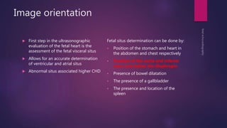 Image orientation
 First step in the ultrasonographic
evaluation of the fetal heart is the
assessment of the fetal visceral situs
 Allows for an accurate determination
of ventricular and atrial situs
 Abnormal situs associated higher CHD
Fetal situs determination can be done by:
 Position of the stomach and heart in
the abdomen and chest respectively
 Position of the aorta and inferior
vena cava below the diaphragm
 Presence of bowel dilatation
 The presence of a gallbladder
 The presence and location of the
spleen
 