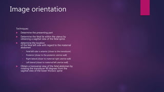 Image orientation
Techniques:
 Determine the presenting part
 Determine the fetal lie within the uterus by
obtaining a sagittal view of the fetal spine.
 determine the location
of the fetal left side with regard to the maternal
abdomen
 Fetal left side is anterior [closer to the transducer]
 Posterior [closer to the posterior uterine wall]
 Right lateral [closer to maternal right uterine wall]
 Left lateral [closer to maternal left uterine wall]
 Obtain a transverse view of the fetal abdomen by
rotating the transducer 90 degrees from the
sagittal view of the lower thoracic spine
 