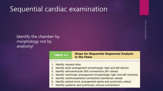 Sequential cardiac examination
Identify the chamber by
morphology not by
anatomy!
 