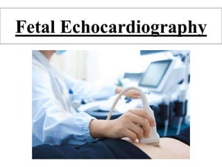 Fetal Echocardiography
 