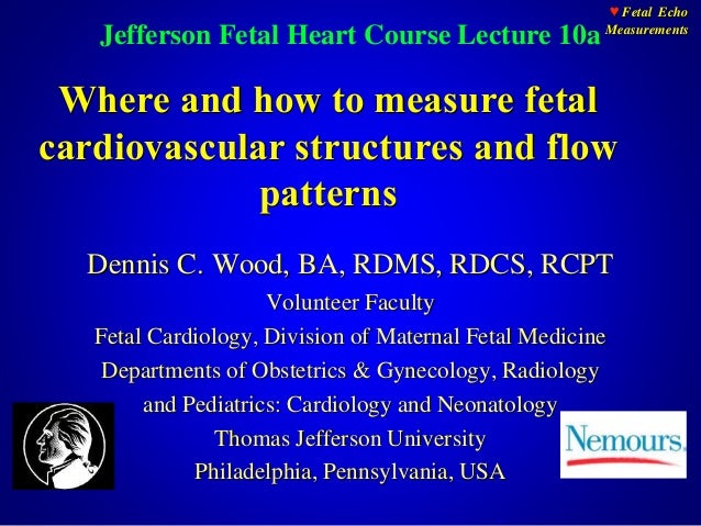 Fetal Echo Measurments - 