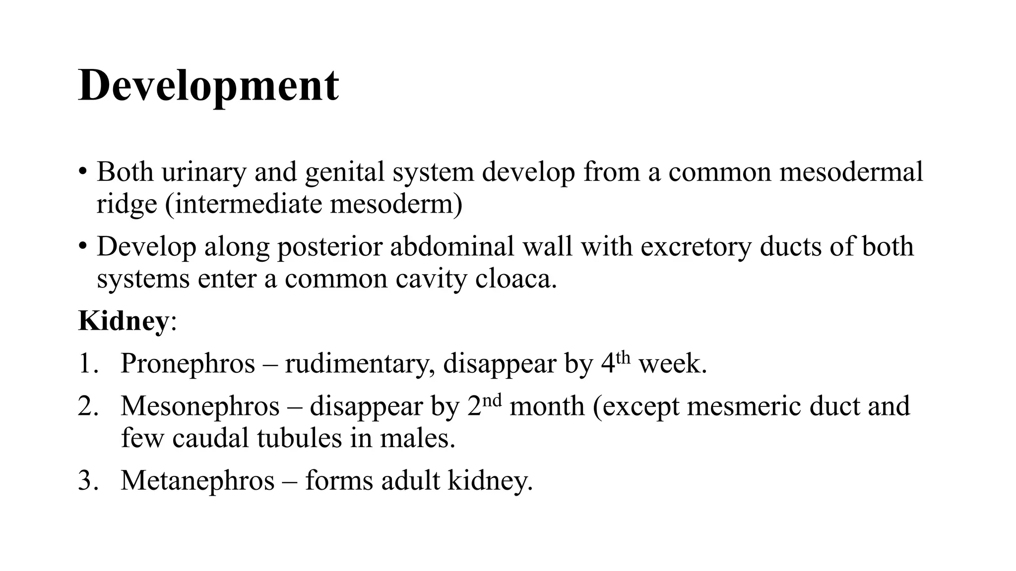 Mesodermal Development Radiology of Fetal genitourinary tract.pptx