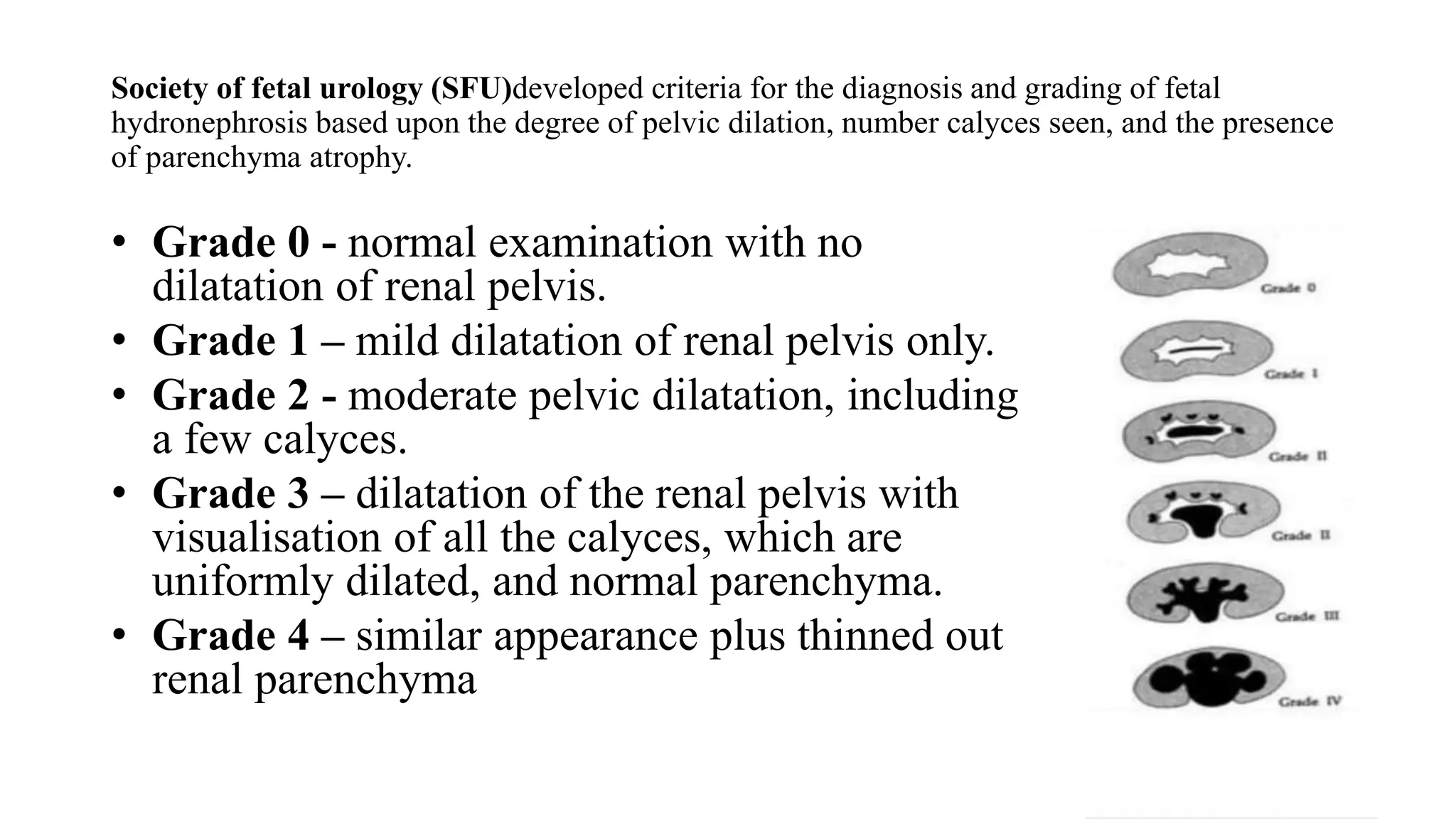 Grade 1 Rcc Radiology of Fetal genitourinary tract.pptx