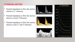 UTERINE ARTERY
• Normal impedance to flow the uterine
arteries in 1° trimester
• Normal impedance to flow the uterine
arteries in early 2°trimester
• Normal impedance to flow the uterine
arteries in late 2° and 3º trimester
 