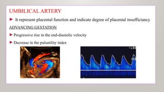 UMBILICAL ARTERY
► It represent placental function and indicate degree of placental insufficiancy
ADVANCING GESTATION
►Progressive rise in the end-diastolic velocity
►Decrease in the pulsatility index
 