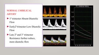 NORMAL UMBILICAL
ARTERY
►1º trimester Absent Diastolic
Flow
►Early2°trimester Low Diastolic
Flow
►Late 2º and 3° trimester
Resistance further reduce,
more diastolic flow
 