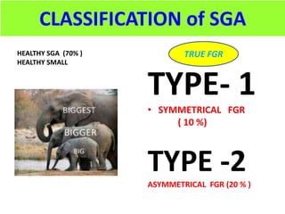 CLASSIFICATION of SGA
HEALTHY SGA (70% )
HEALTHY SMALL
TYPE- 1
• SYMMETRICAL FGR
( 10 %)
TYPE -2
ASYMMETRICAL FGR (20 % )
TRUE FGR
 