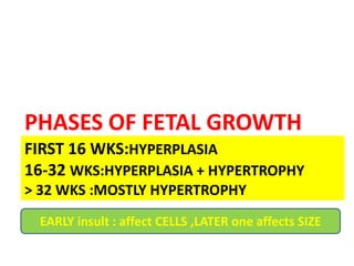 FIRST 16 WKS:HYPERPLASIA
16-32 WKS:HYPERPLASIA + HYPERTROPHY
> 32 WKS :MOSTLY HYPERTROPHY
PHASES OF FETAL GROWTH
EARLY insult : affect CELLS ,LATER one affects SIZE
 
