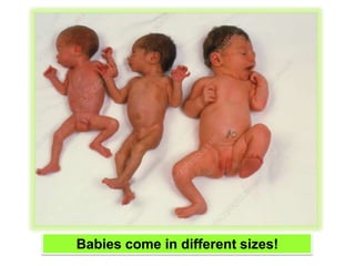 Babies come in different sizes!
 