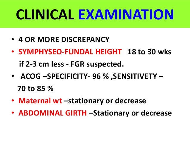who is erica mena dating now