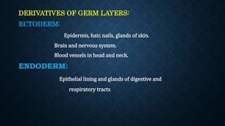 Fetal growth and development | PPTX