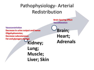 Pathophysiology- Arterial
Redistribution
Kidney;
Lung;
Muscle;
Liver; Skin
Brain;
Heart;
Adrenals
Brain Sparing Effect
Vasodilatation
Vasoconstriction
Decrease in urine output and hence
Oligohydramnios;
Decrease subcutaneous
Fat and glycogen storage
 