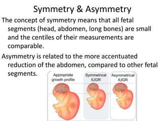 Symmetry & Asymmetry
The concept of symmetry means that all fetal
segments (head, abdomen, long bones) are small
and the centiles of their measurements are
comparable.
Asymmetry is related to the more accentuated
reduction of the abdomen, compared to other fetal
segments.
 