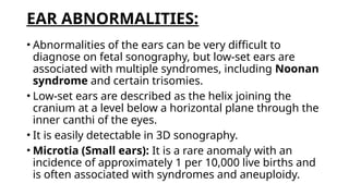 fetal head and neck imaging and spotters | PPTX