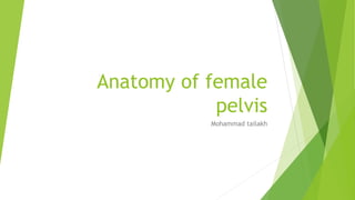 Anatomy of female
pelvis
Mohammad tailakh
 