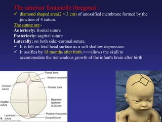 The anterior fontanelle (bregma) :
 diamond shaped area(2 × 3 cm) of unossified membrane formed by the
junction of 4 suture.
The suture are:-
Anteriorly: frontal suture
Posteriorly: sagittal suture
Laterally: on both side:-coronal suture.
 It is felt on fetal head surface as a soft shallow depression.
 It ossifies by 18 months after birth.>>>allows the skull to
accommodate the tremendous growth of the infant's brain after birth
 