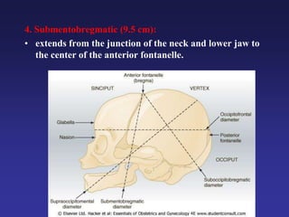 4. Submentobregmatic (9.5 cm):
• extends from the junction of the neck and lower jaw to
the center of the anterior fontanelle.
 