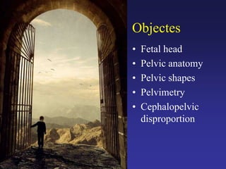 Objectes
• Fetal head
• Pelvic anatomy
• Pelvic shapes
• Pelvimetry
• Cephalopelvic
disproportion
 