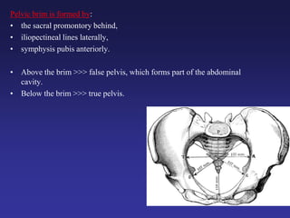 Pelvic brim is formed by:
• the sacral promontory behind,
• iliopectineal lines laterally,
• symphysis pubis anteriorly.
• Above the brim >>> false pelvis, which forms part of the abdominal
cavity.
• Below the brim >>> true pelvis.
 
