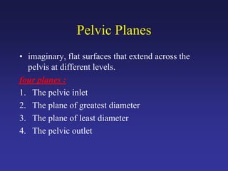 Pelvic Planes
• imaginary, flat surfaces that extend across the
pelvis at different levels.
four planes :
1. The pelvic inlet
2. The plane of greatest diameter
3. The plane of least diameter
4. The pelvic outlet
 
