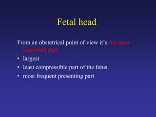 Fetal head
From an obstetrical point of view it’s the most
important part:
• largest
• least compressible part of the fetus.
• most frequent presenting part
 