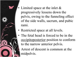 • Limited space at the inlet &
progressively lessens down the
pelvis, owing to the funneling effect
of the side walls, sacrum, and pubic
rami.
• Restricted space at all levels.
• The fetal head is forced to be in the
occipitoposterior position to conform
to the narrow anterior pelvis.
• Arrest of descent is common at the
midpelvis.
 