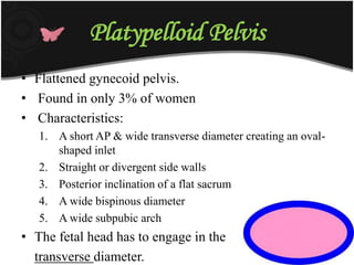 Platypelloid Pelvis
• Flattened gynecoid pelvis.
• Found in only 3% of women
• Characteristics:
1. A short AP & wide transverse diameter creating an oval-
shaped inlet
2. Straight or divergent side walls
3. Posterior inclination of a flat sacrum
4. A wide bispinous diameter
5. A wide subpubic arch
• The fetal head has to engage in the
transverse diameter.
 