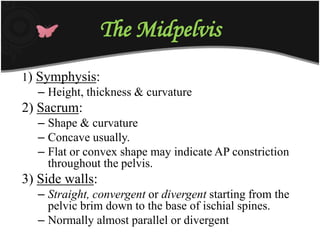 The Midpelvis
1) Symphysis:
– Height, thickness & curvature
2) Sacrum:
– Shape & curvature
– Concave usually.
– Flat or convex shape may indicate AP constriction
throughout the pelvis.
3) Side walls:
– Straight, convergent or divergent starting from the
pelvic brim down to the base of ischial spines.
– Normally almost parallel or divergent
 