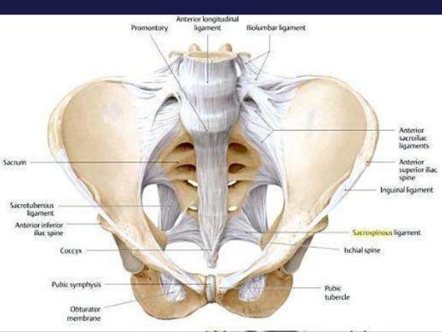 Sacral Images - Photos - Pictures - Page 2