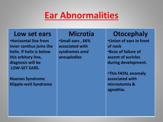Fetal head & neck usg | PPTX