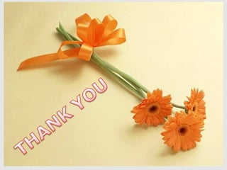 Fetal heart circulation