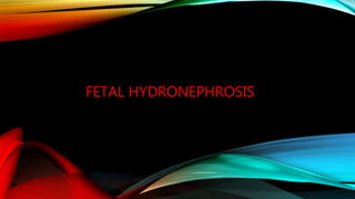 FETAL HYDRONEPHROSIS
 