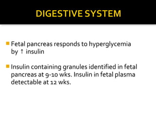  Fetal pancreas responds to hyperglycemia

by ↑ insulin

 Insulin containing granules identified in fetal

pancreas at 9-10 wks. Insulin in fetal plasma
detectable at 12 wks.

 