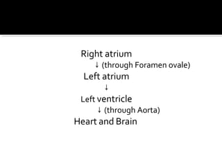 Right atrium

↓ (through Foramen ovale)

Left atrium
↓

Left ventricle
↓ (through Aorta)

Heart and Brain

 