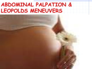 ABDOMINAL PALPATION &
LEOPOLDS MENEUVERS
 