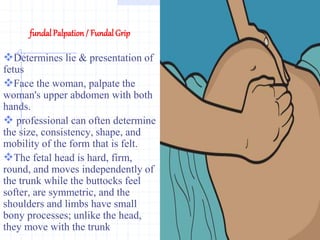 fundalPalpation / Fundal Grip
Determines lie & presentation of
fetus
Face the woman, palpate the
woman's upper abdomen with both
hands.
 professional can often determine
the size, consistency, shape, and
mobility of the form that is felt.
The fetal head is hard, firm,
round, and moves independently of
the trunk while the buttocks feel
softer, are symmetric, and the
shoulders and limbs have small
bony processes; unlike the head,
they move with the trunk
 