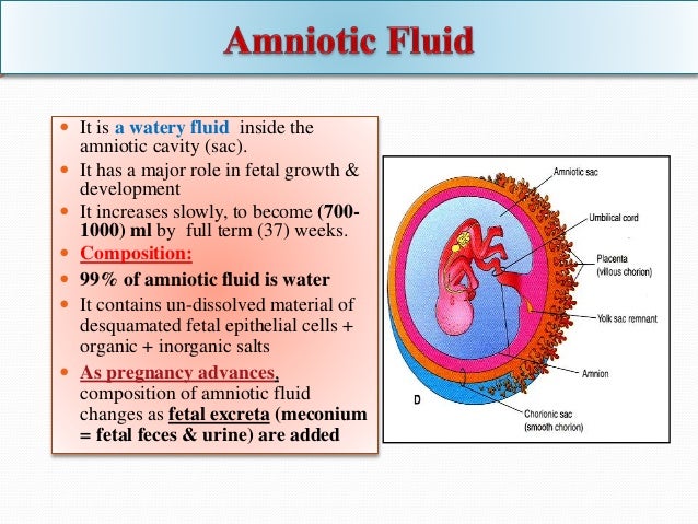 Fetal membranes
