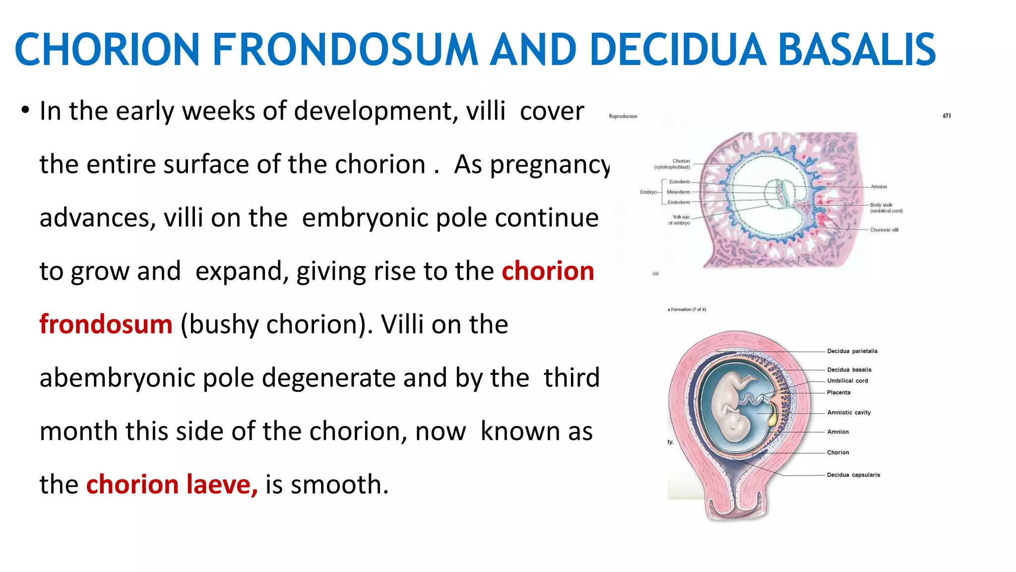 fetal membranes and placenta.pdf