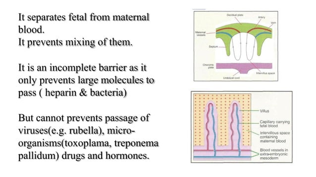 fetal membranes and placenta.pdf | Pregnancy | Reproductive Health
