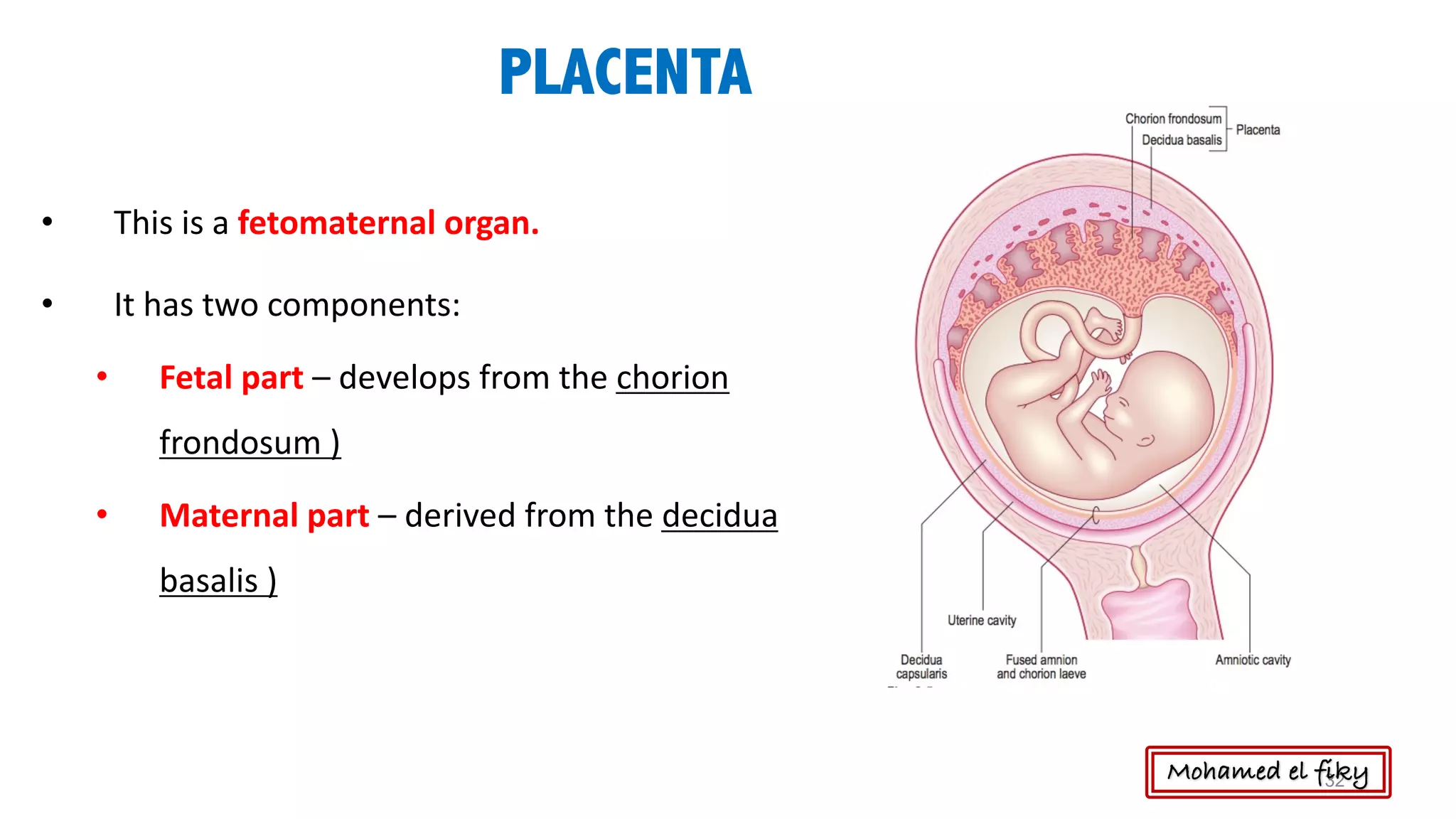 Fetal membranes , placenta and twins | PDF
