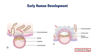 Fetal membranes , placenta and twins | PDF