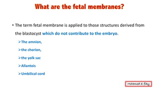 Fetal membranes , placenta and twins | PDF