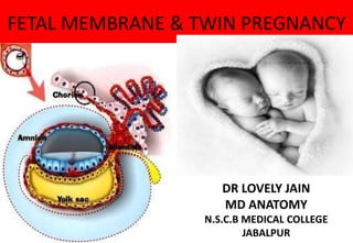 FETAL MEMBRANE & TWIN PREGNANCY
DR LOVELY JAIN
MD ANATOMY
N.S.C.B MEDICAL COLLEGE
JABALPUR
 