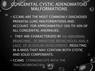 CONGENITAL CYSTIC ADENOMATOID
MALFORMATIONS
• (CCAM) ARE THE MOST COMMONLY DIAGNOSED
PRENATAL LUNG MALFORMATIONS AND
ACCOUNT FOR APPROXIMATELY 30% TO 40% OF
ALL CONGENITAL ANOMALIES.
• THEY ARE CHARACTERIZED BY AN ABNORMAL
BRANCHING OF IMMATURE BRONCHIOLES AND A
LACK OF ALVEOLAR DEVELOPMENT, RESULTING
IN A MASS THAT MAY CONTAIN BOTH CYSTIC
AND SOLID COMPONENTS.
• CCAMS COMMUNICATE WITH THE
TRACHEOBRONCHIAL TREE.
 